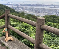 ゆるーくほっこりタイムをお作りします イメージ1