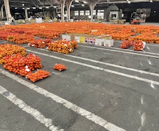 野菜業界で働く2児のパパが相談にのります イメージ1