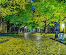 都内や都内近郊で素敵な写真の撮影代行いたします イメージ1