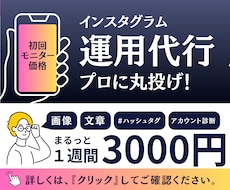 インスタ1週間運用代行【3,000円】でします 投稿４回＋診断＋提案までSNS運用をまるっと丸投げ対応！