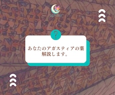 あなたのアガスティアの葉を翻訳・解説します ナーディ翻訳歴９年のシッダ医学専門家が伝え直す聖者の本心