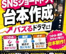 テレビ制作プロがSNSショートドラマ台本作成します イメージ1