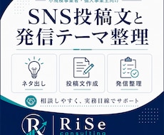 SNS投稿文を3本作成します 何を書けばいいか迷う方向けに投稿テーマ整理からやさしく対応