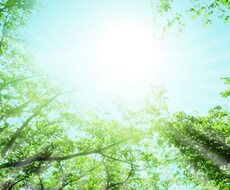 仕事・キャリア・転職の力になります、相談にのります イメージ1