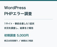 WordPressのPHPエラーを調査します イメージ1