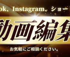 TikTok、Instagramの動画編集します イメージ1