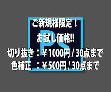 ご新規様限定♫ お試し料金で切抜&色調補正致します 複雑な切り抜きや色調補正もお試し料金でご依頼可能！
