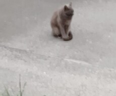 恋愛での悩み、相談お聞きします イメージ1