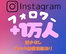 高品質フォロワーを1万人増やします イメージ1