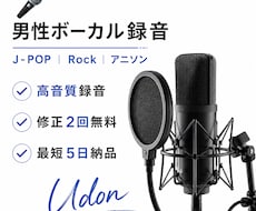 感情の伝わる男性ボーカルを高音質で録音します イメージ1