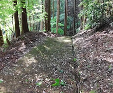 6/30まで特価！刈払い30坪/1万で代行します 埼玉県西部【飯能、所沢、狭山、入間、日高、川越、東松山】限定