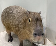 様々なお悩みお聞きします イメージ1