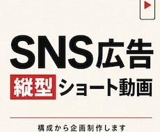 SNS広告用の縦型ショート動画を企画制作します イメージ1