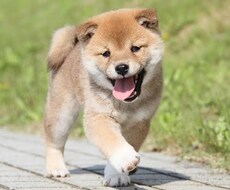 愚痴　恋愛相談　人生相談何でも相談乗ります イメージ1