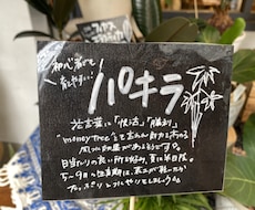黒板風の手書きpop作成致します イメージ1