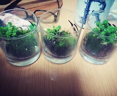 好きを仕事にしたいをアドバイスします イメージ1