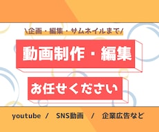 動画制作・編集の代行いたします イメージ1