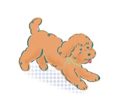 大切なペットをポップにかわいくイラスト化します イメージ1
