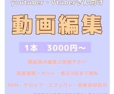 横動画の編集承ります イメージ1