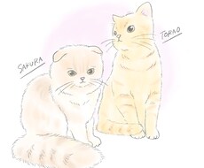柔らかいテイストのペットイラストをお描きします イメージ1