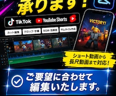 Youtubeの動画編集を行います イメージ1