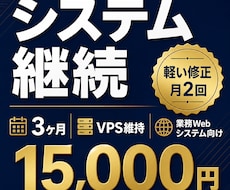 業務システムの3ヶ月維持更新をします イメージ1