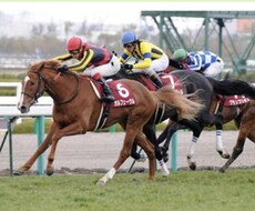 新馬戦とメインレース（11R）の予想をします