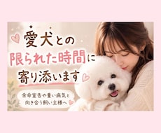 愛犬との限られた時間に寄り添います 残された大切な時間のお気持ちに寄り添います