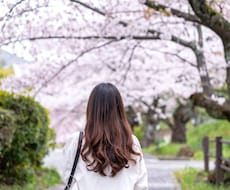 皆様の大切な道を審神者鑑定致します イメージ1