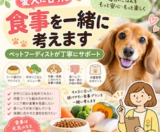 愛犬に合った食事を一緒に考えます 体調や年齢に合わせて毎日のごはんを丁寧にサポート