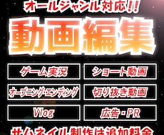 YouTubeなどのSNSの動画編集をいたします イメージ1