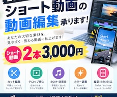 ショート動画を見やすく魅力的に編集しますます イメージ1