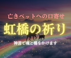亡きペットへの口寄せ｜神言で魂に触れます あの子に、もう一度だけ話しかけたい方へ