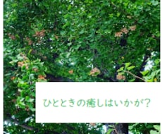 お疲れ様です(*´◒`*)癒しの電話いたします 人を褒める事に定評のある癒し系女子によるホッと電話