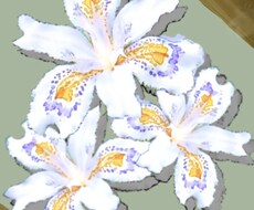 聴いてもらえる時間をご提供します イメージ1