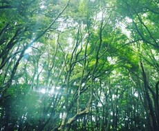 今、あなたに必要なメッセージをお伝えいたします イメージ1
