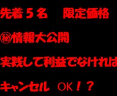 実践して利益なければキャンセルOK！稼ぎ方教えます 5名販売ごとに値上げしていきます！ココナラの実績ないため最安