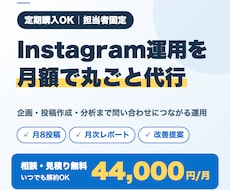 Instagramの運用を月額で代行します イメージ1