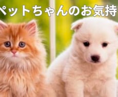 ペットちゃんがお話したい事あなたへの気持ち届けます イメージ1