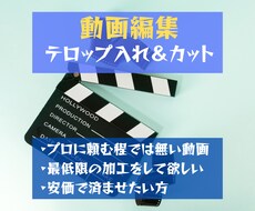 テロップ入れ・シーンカットの動画編集します イメージ1