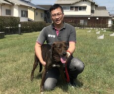 わんぱぱがメールで犬のお悩みお聞ききします ズバリ回答！あなたが悩めば愛犬はもっと悩みますよ！