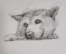 あなたの大切なペットのペン画を制作します イメージ1