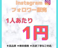 あなたのInstagramのフォロワーを増加します イメージ1