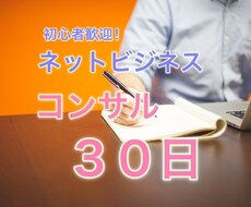 ネットビジネスで稼ぐ為の本気コンサル！３０日します 本気の人だけ来てください！３０日みっちりコンサル致します！