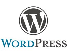 ワードプレスのカスタマイズ、修正対応します イメージ1
