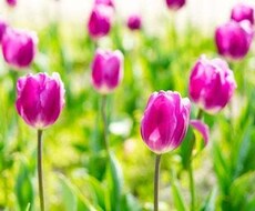 なんとなく淋しいお気持ちお心癒やします お試し下さい♡5分だけでも!!