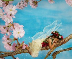 あなたの側にいる花の精霊の話や助言をお伝えします 色々な花の精霊を召喚魔術でお呼びします。