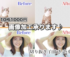 画像の背景透過、切り抜きします イメージ1