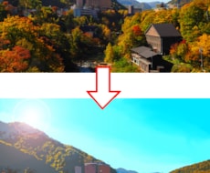 写真をイラスト風にします 最短当日、お急ぎの方歓迎！イラスト背景用などにどうぞ！