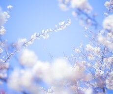 どんなご相談にも耳を傾けます イメージ1